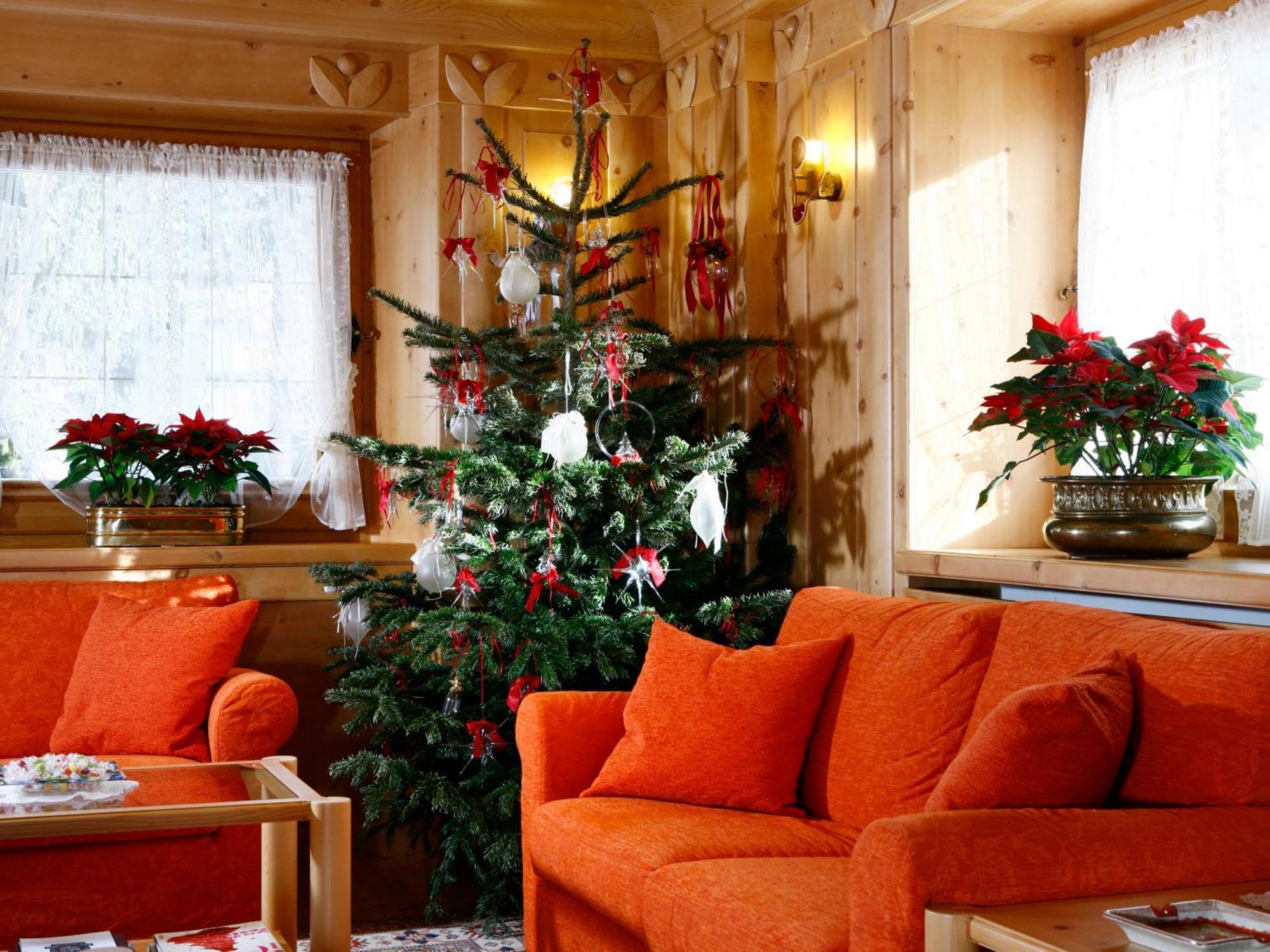 Hotel Natale Κορτίνα Ντ' Αμπέτσο Εξωτερικό φωτογραφία